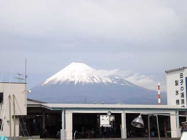 【鶴丸】田子の浦港から見える富士山