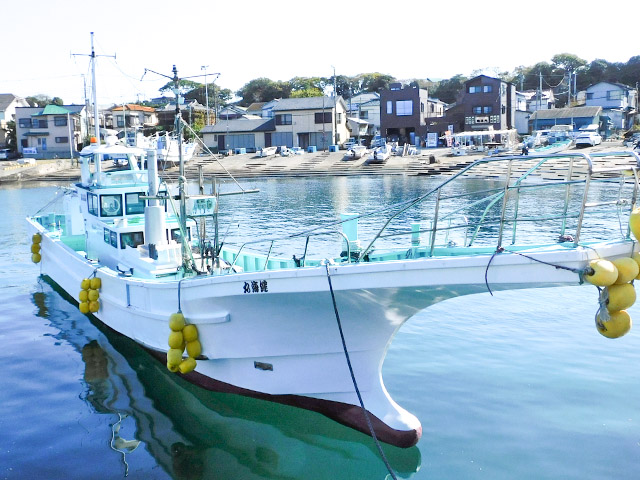 �ڷ򳤴ݡ۱��Ф��������