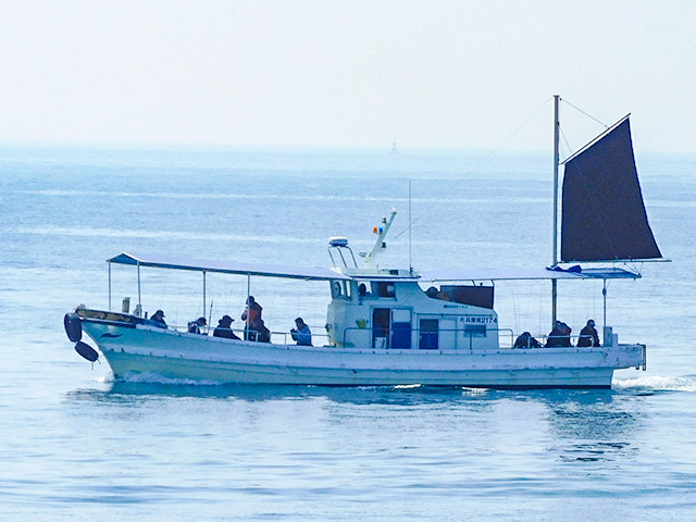 【島虎丸】左側より(2号艇)