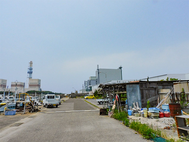 Taninomaru۾