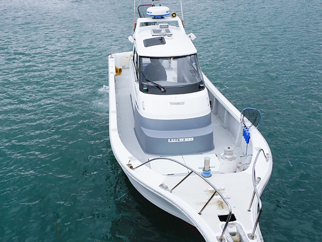 【まさまる】正面より