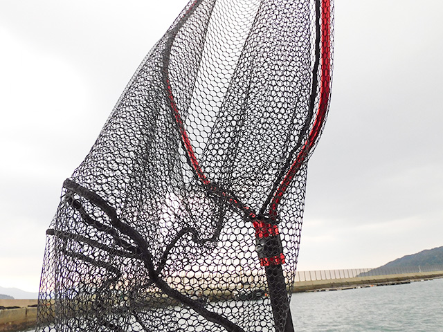 【まさまる】タモ