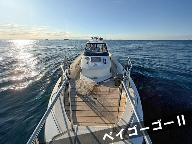 ¡Ú¥´¡¼¥´¡¼¥¬¥¤¥É¥µ¡¼¥Ó¥¹¡ÛÀµÌ̡ʥ٥¤¥´¡¼¥´¡¼¶¡Ë