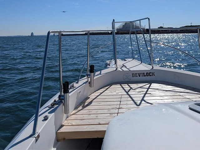 ¡Ú¥´¡¼¥´¡¼¥¬¥¤¥É¥µ¡¼¥Ó¥¹¡ÛÁ°Êý¡Ê¥Ù¥¤¥´¡¼¥´¡¼¶¡Ë