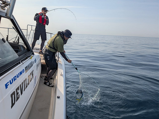 ¡Ú¥´¡¼¥´¡¼¥¬¥¤¥É¥µ¡¼¥Ó¥¹¡ÛÄà¤êÉ÷·Ê