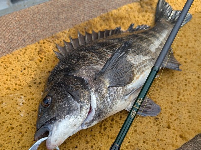 ¡Ú¥´¡¼¥´¡¼¥¬¥¤¥É¥µ¡¼¥Ó¥¹¡Û¥¯¥í¥À¥¤