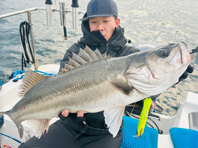 ��BLUE LANE YOKOHAMA�ۥ����Х����