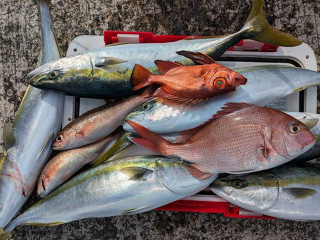 ���ٻδݡ������