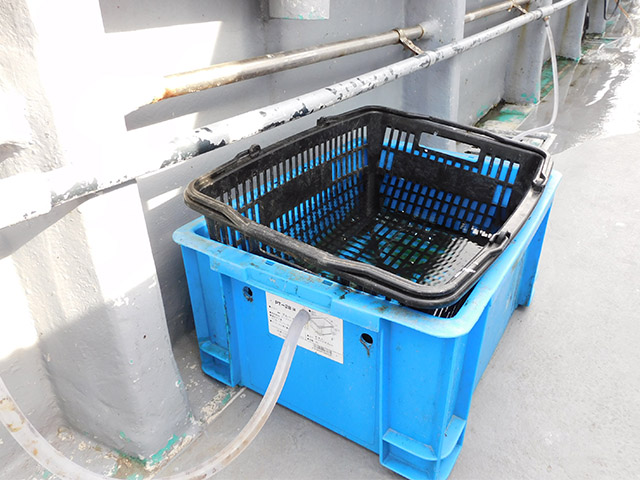 �ڤ����椦�ݡۥ�����