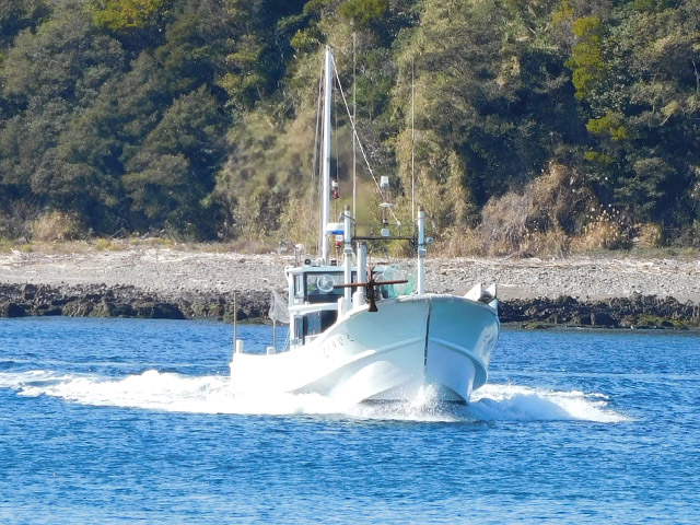 �ڤ����椦�ݡ�����