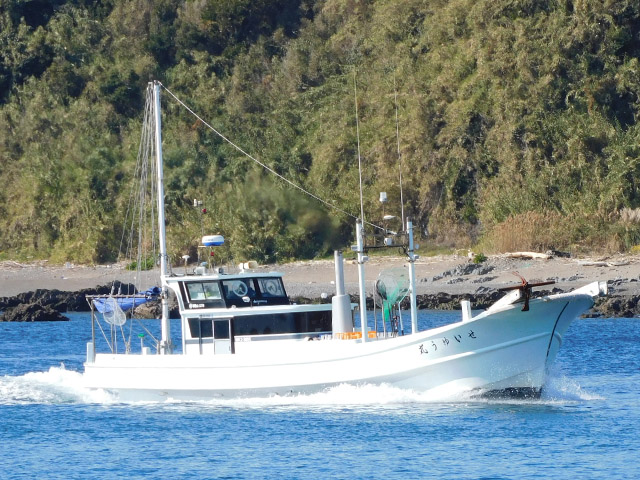 �ڤ����椦�ݡ۱�¦����������