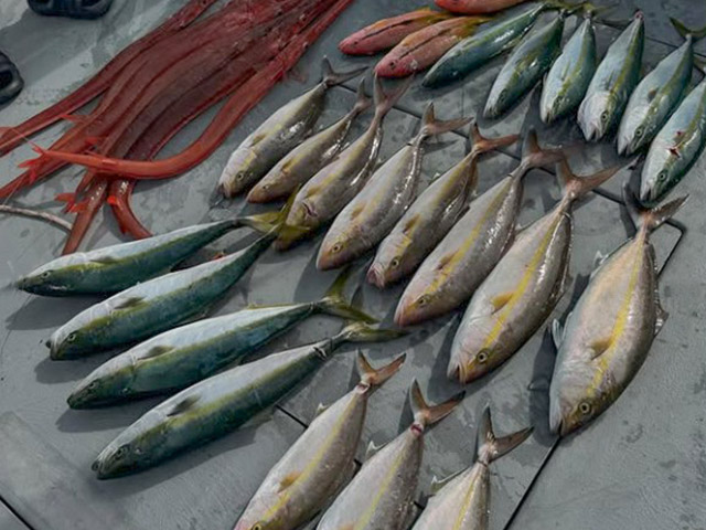 �ڤ����椦�ݡۥ����󥰡���Ȥ�����