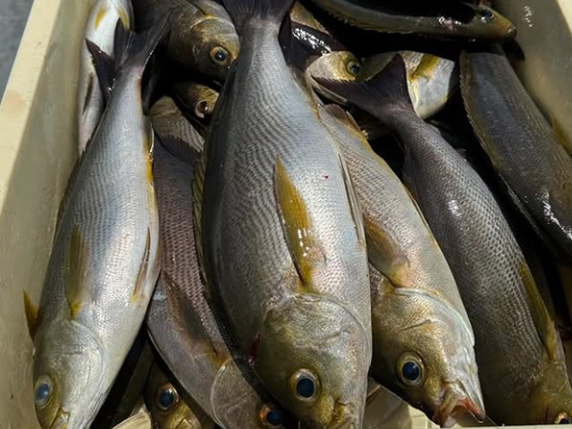 �ڤ����椦�ݡۥ��������