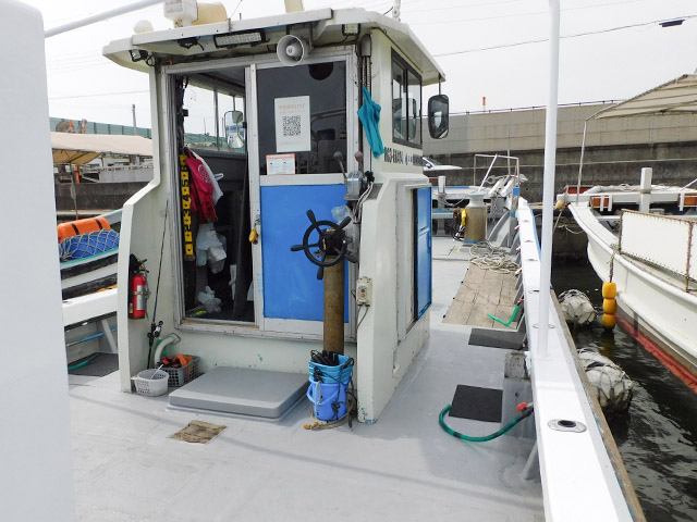 �ڳ����ݡ�