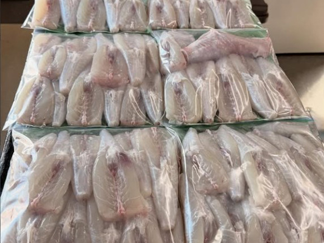 �ڳ����ݡ�