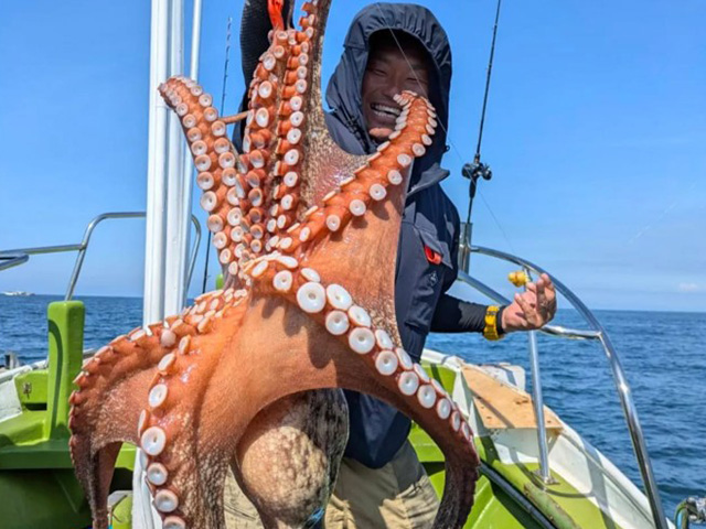 �ڳ����ݡ�