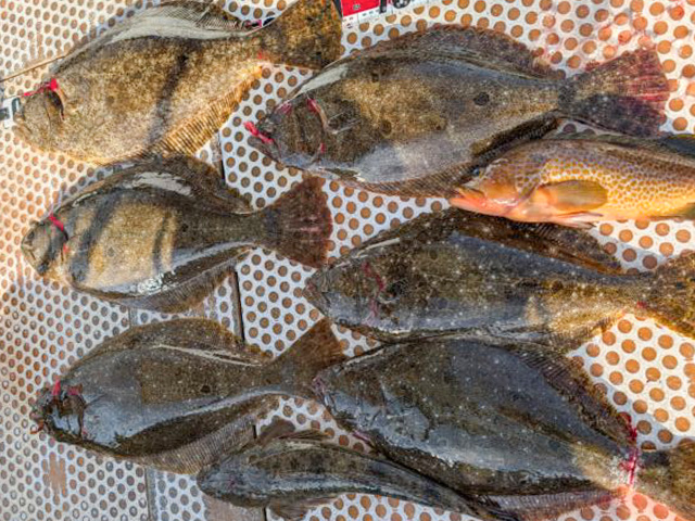 �ڥ��ӥ��ݡ������