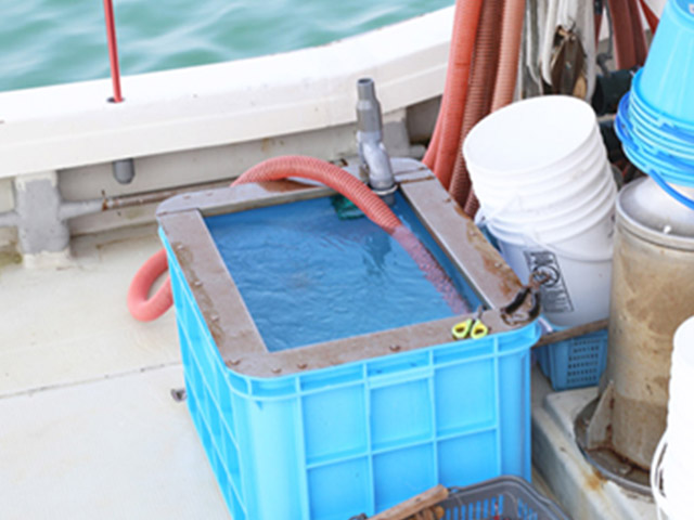 【釣り船まるかつ】イケス