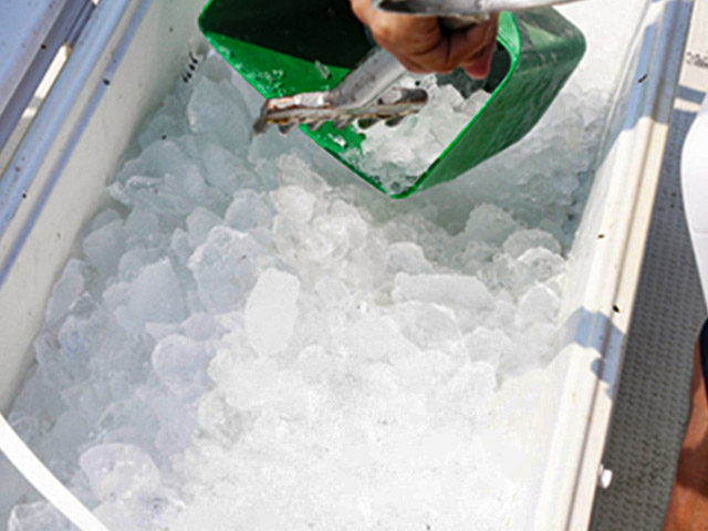 【釣り船まるかつ】氷