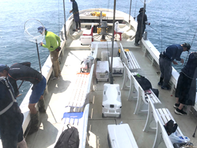 【釣り船まるかつ】釣り風景