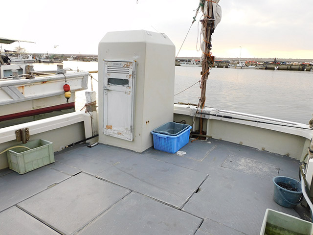 �ڽ��ȴݡ۸���