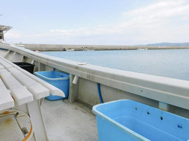 ����������¡ۥ٥���ȸĿͥ�����