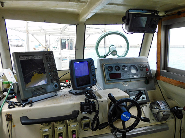 ����������¡����ɼ�