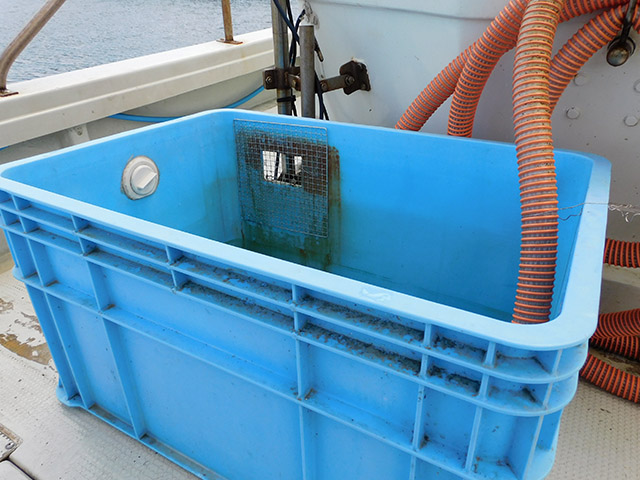 ����������¡ۥ�����