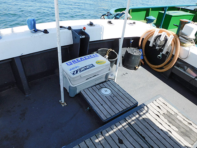 �ڳ����۸���