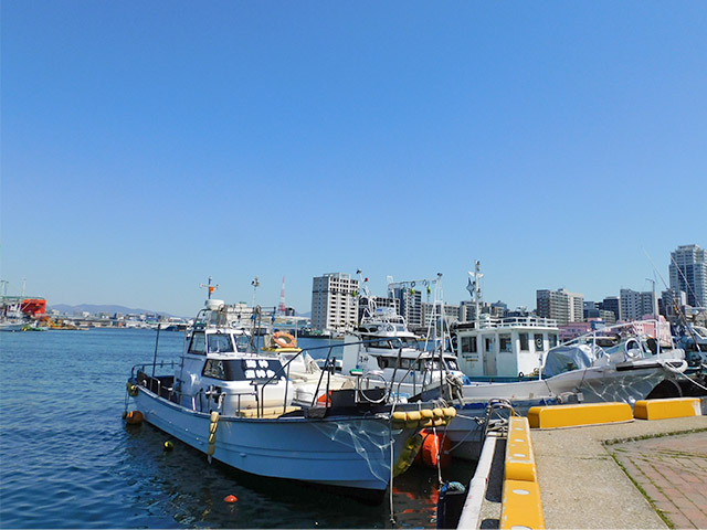 �ڳ����۾������