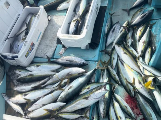 ��ŷ���ݡ������