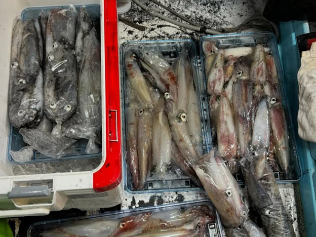 ��ŷ���ݡ������ʥ����᥿���