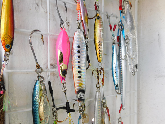 �ڥ���ա�SLJ�����դǤ���