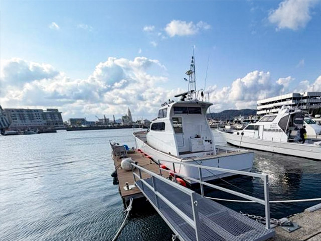 ��������