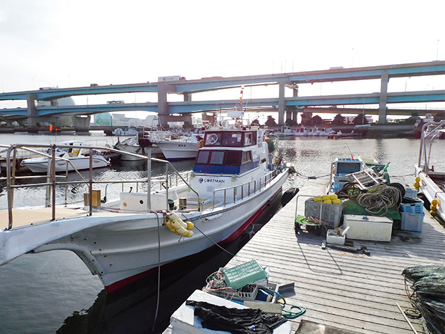 ��ŷ���ݡ۾�������