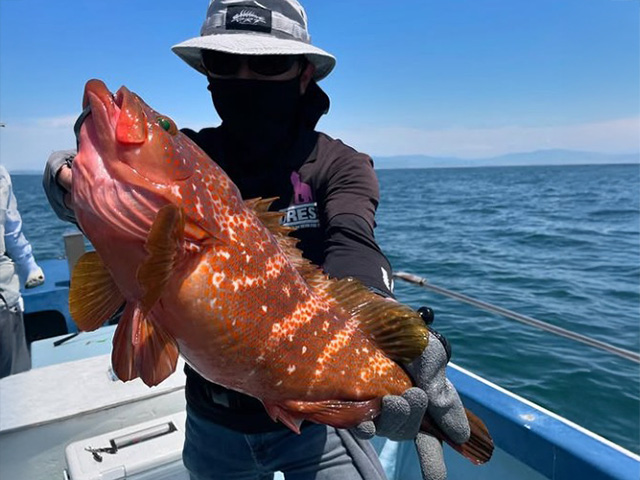 ��ŷ���ݡۥ������ʥ����ϥ������