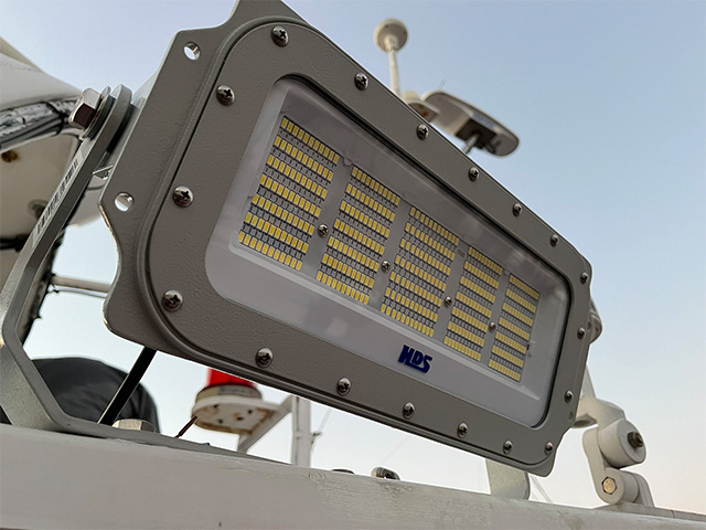 ��HUSTLA��������ѥ饤��