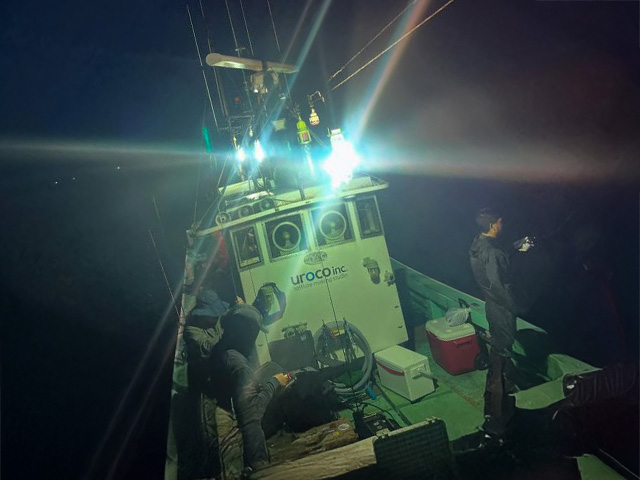 ��ʲ���������