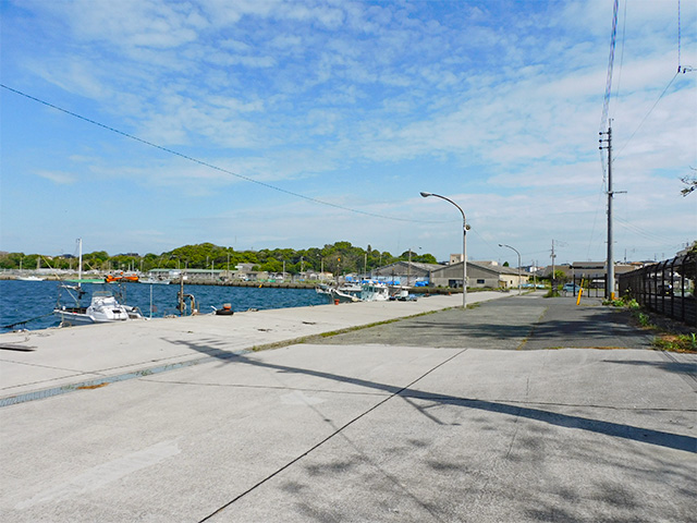 ���ȻҴ�-�𸶵���-�۾���������־�