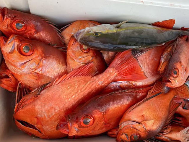 ���ȻҴ�-�𸶵���-�ۥ���ȥ����