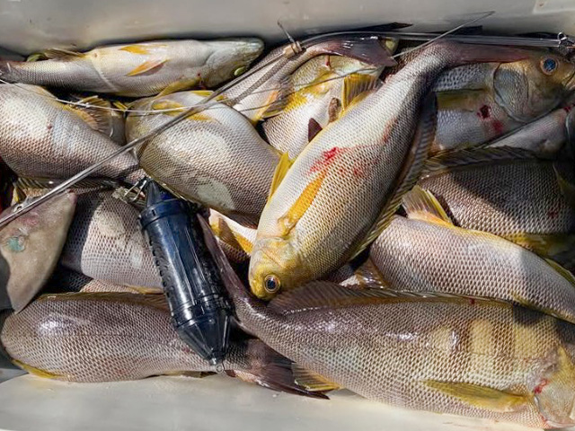 ���ȻҴ�-�𸶵���-��ŷ��������