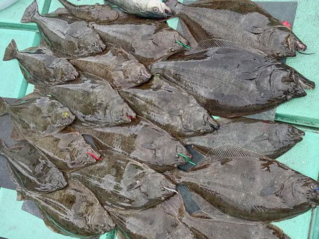 ���ȻҴ�-�𸶵���-�۱ˤ���������