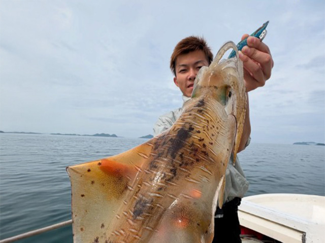 【妙見丸】アオリイカの釣果