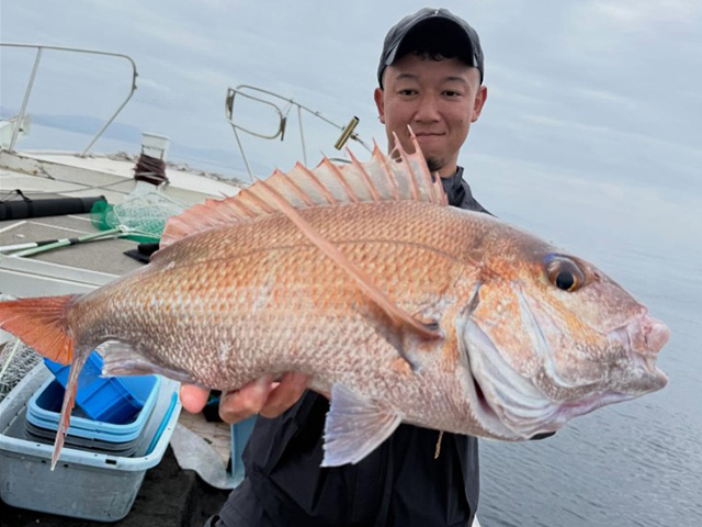 �����ʹݡۥޥ��������