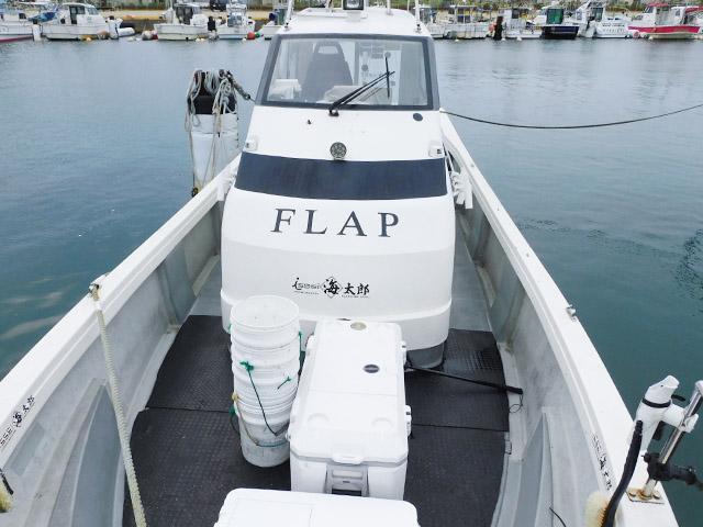 ��FLAP�����̤��