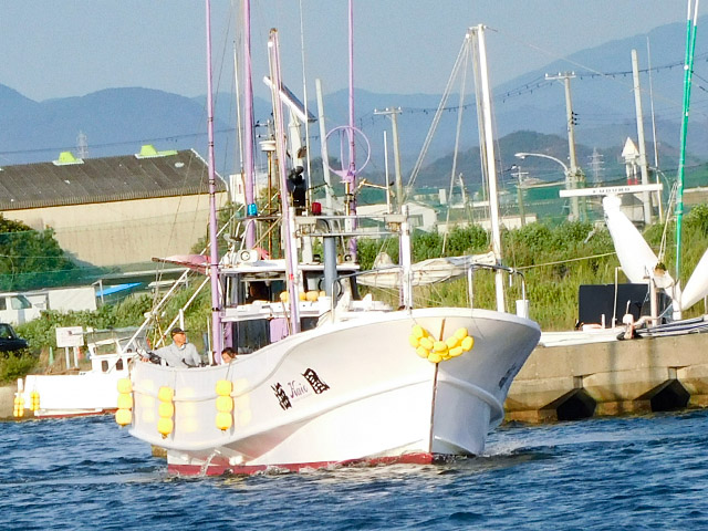 【貴丸・海凰】正面より(海凰)