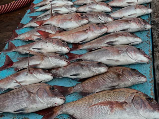 【松盛丸】釣果例