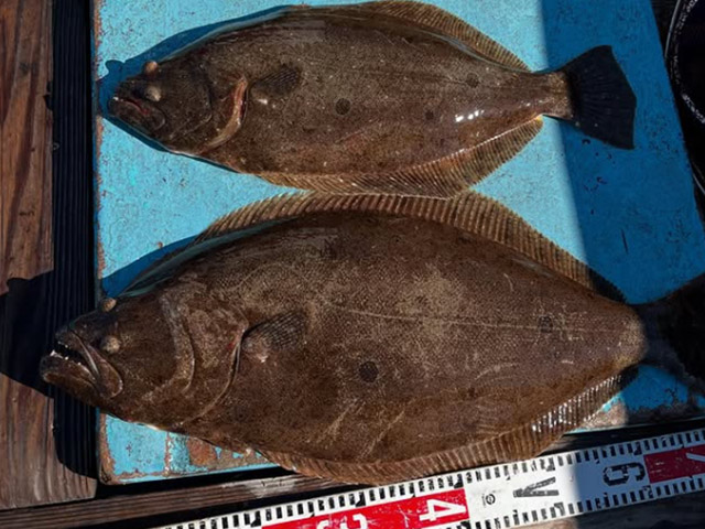 【松盛丸】釣果例
