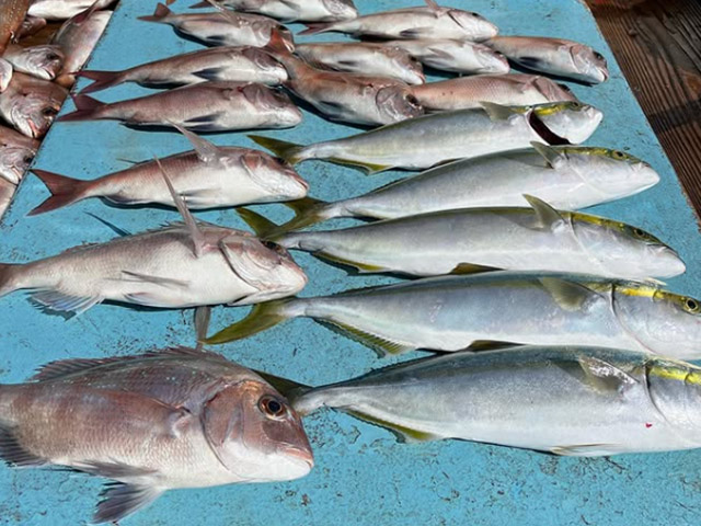 【松盛丸】釣果例